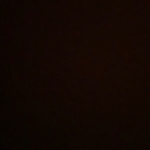 Meet your Posher, Lily